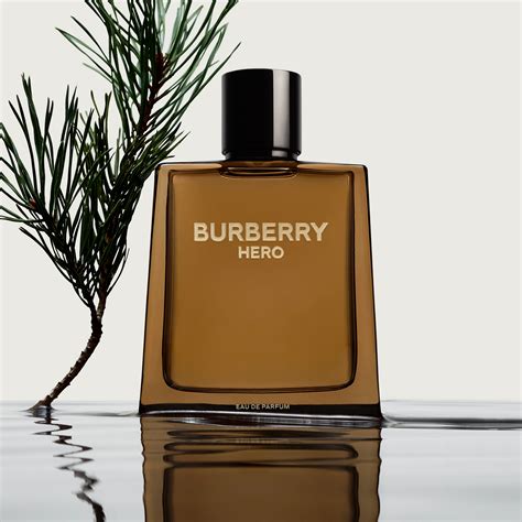 burberry brown cologne mens|original burberry cologne for men.